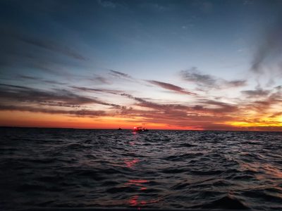 Cruce a nado del Río de la Plata